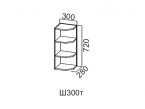 Ш300т/720 Шкаф навесной 300/720 (торцевой) в Ивделе - ivdel.magazin-mebel74.ru | фото