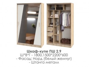 шкаф-купе ПШ-2.9 1500 Норд Белый жемчуг 1500 в Ивделе - ivdel.magazin-mebel74.ru | фото