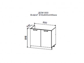 Шкаф нижний ДСМ800 под мойку в Ивделе - ivdel.magazin-mebel74.ru | фото