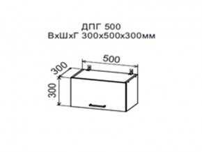 Шкаф верхний ДПГ500 горизонтальный в Ивделе - ivdel.magazin-mebel74.ru | фото