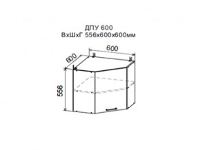 Шкаф верхний ДПУ600 угловой в Ивделе - ivdel.magazin-mebel74.ru | фото